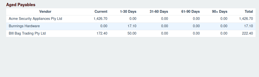 Aged Payables Report Screenshot